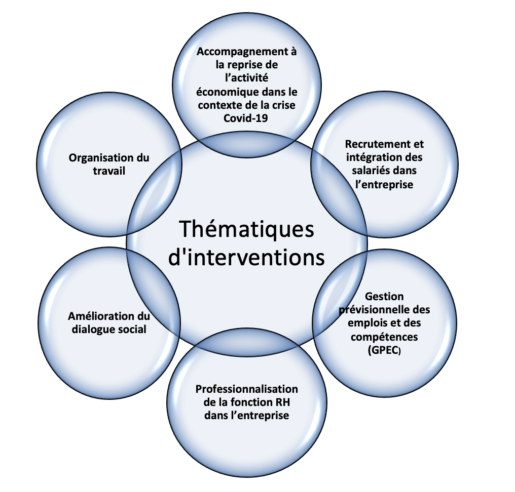 thématiques interventions PCRH Dispositif Prestation en Conseil RH Caroline Lamandé Ressources consultant Humaines Lyon